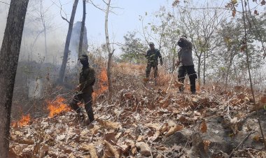 Respons-Cepat-Polres-Ponorogo-dan-Tim-Gabungan-Berhasil-Jinakkan-Karhutla-di-Sampung