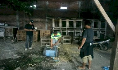 Polsek-Waru-Tindak-Lanjuti-Aduan-Arena-Sabung-Ayam-di-Desa-Berbek
